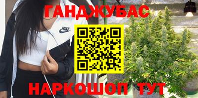 гашик Малоярославец
