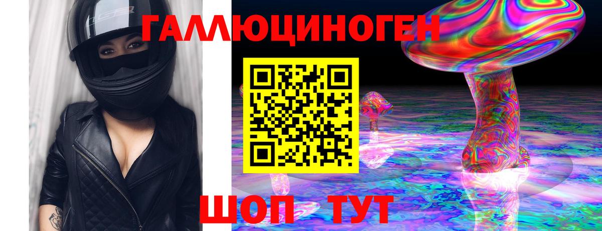 Галлюциногенные грибы Psilocybe Щёлково